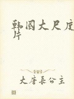 韩国大尺度犯罪片