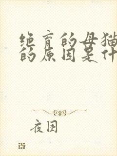 绝育的母猫乱尿的原因是什么