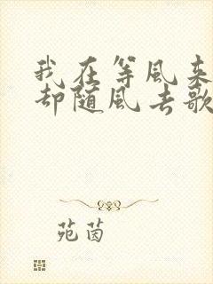 我在等风来,你却随风去歌词是什么歌