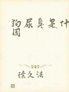 狗尿臭是什么原因