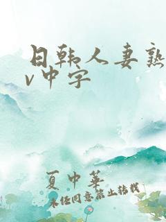 日韩人妻熟女av中字