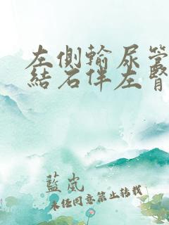 左侧输尿管上段结石伴左肾轻度积水