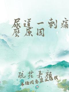 尿道一刺痛是什么原因