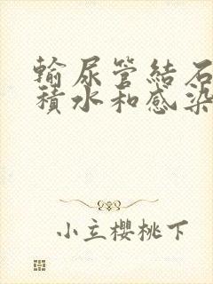 输尿管结石伴有积水和感染要手术吗