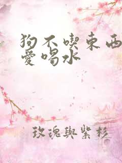 狗不吃东西呕吐爱喝水