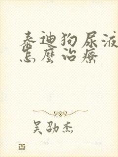 泰迪狗尿液很黄怎么治疗