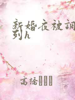新婚夜被调教系列h