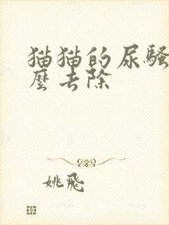 猫猫的尿骚味怎么去除