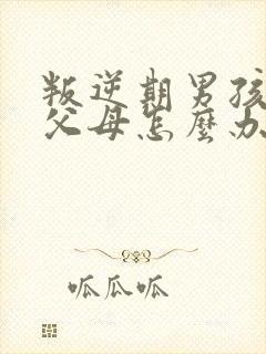 叛逆期男孩打骂父母怎么办