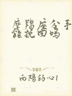 摩羯座分手后还能挽回吗