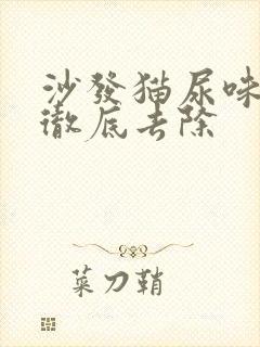 沙发猫尿味怎么彻底去除