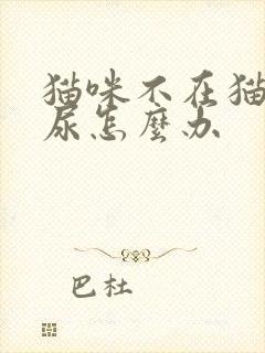 猫咪不在猫砂盆尿怎么办