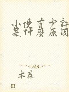 小便有少许泡泡是什么原因造成的