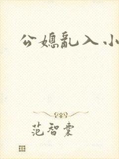 公媳乱入小说