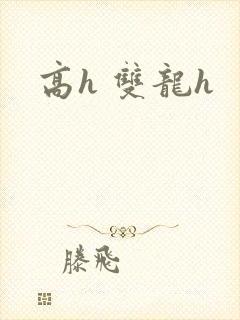 高h 双龙h