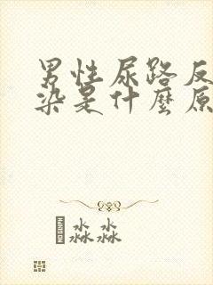 男性尿路反复感染是什么原因