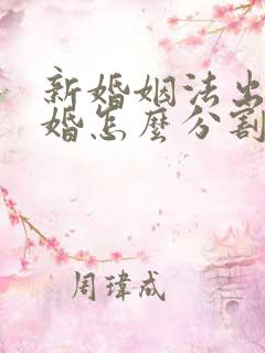 新婚姻法出轨离婚怎么分割财产