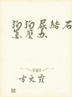 狗狗尿结石尿血怎么办