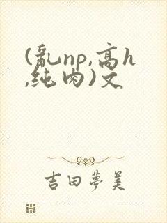 (乱np,高h,纯肉)文