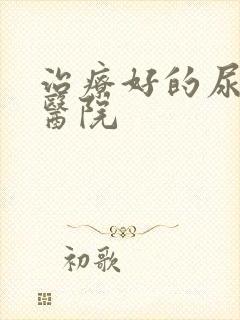 治疗好的尿蛋白医院