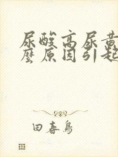 尿酸高尿黄是什么原因引起的