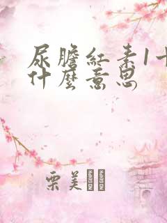 尿胆红素1十是什么意思