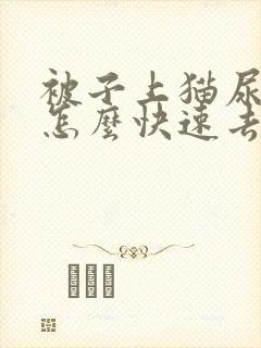 被子上猫尿骚味怎么快速去除