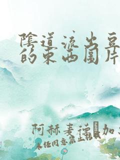 阴道流出豆腐渣的东西图片