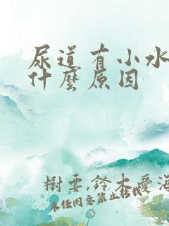 尿道有小水泡是什么原因