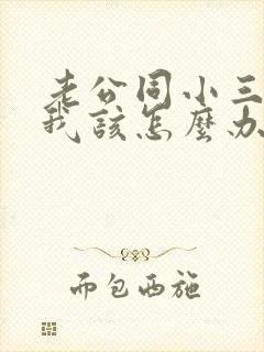 老公同小三同居我该怎么办