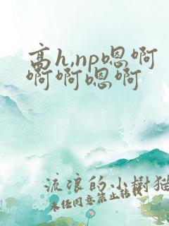 高h,np嗯啊啊啊嗯啊