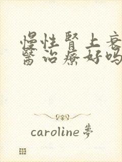 慢性肾上衰竭中医治疗好吗