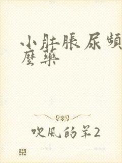 小肚胀尿频吃什么药