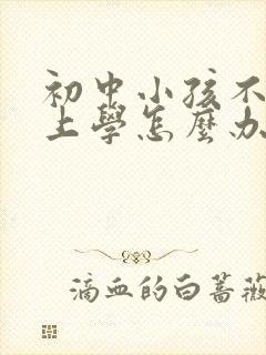 初中小孩不愿意上学怎么办?