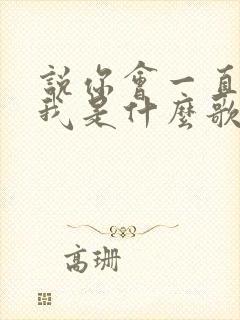 说你会一直爱着我是什么歌