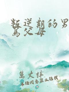 叛逆期的男孩子骂父母