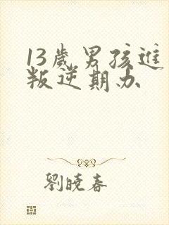 13岁男孩进入叛逆期办