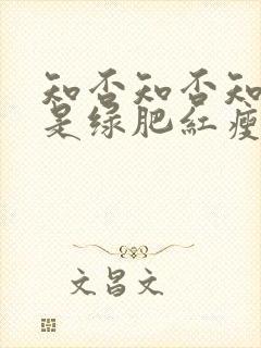 知否知否知否应是绿肥红瘦在线免费