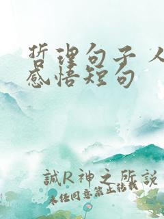 哲理句子 人生感悟短句