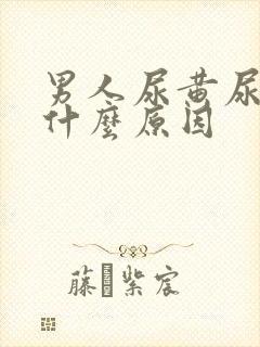 男人尿黄尿臭是什么原因