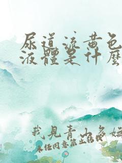 尿道流黄色脓状液体是什么病