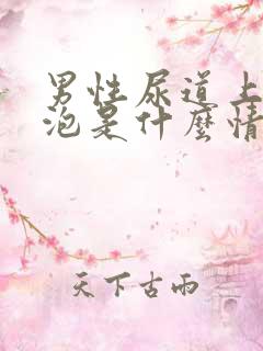 男性尿道上有白泡是什么情况