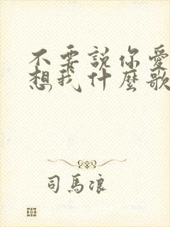 不要说你爱我你想我什么歌