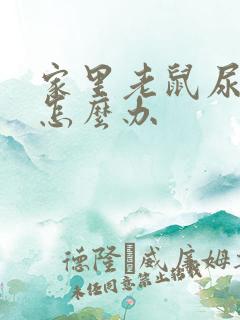 家里老鼠尿味重怎么办