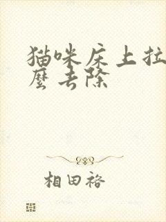 猫咪床上拉尿怎么去除