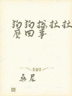 狗狗总拉拉尿怎么回事