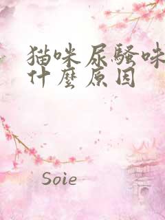 猫咪尿骚味重是什么原因