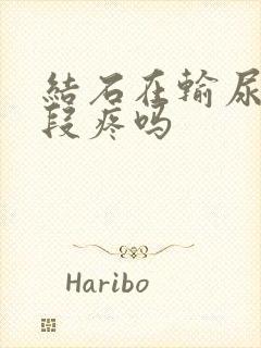 结石在输尿管下段疼吗