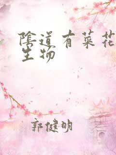 阴道有菜花样赘生物