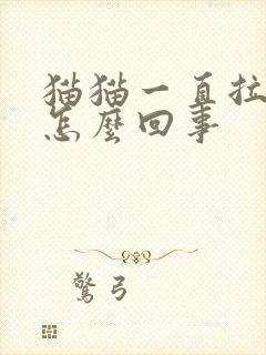 猫猫一直拉稀是怎么回事